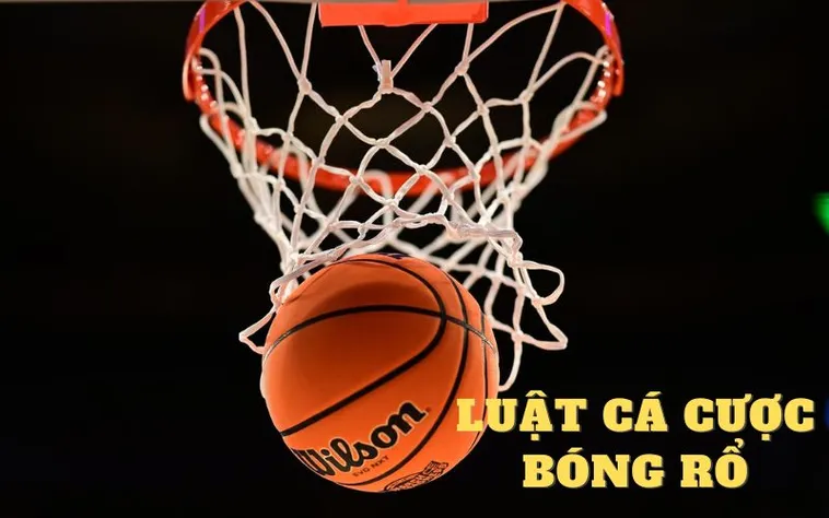 Tìm Hiểu Cá Cược Bóng Rổ B52Club Và Những Điểm Nổi Bật Thu Hút