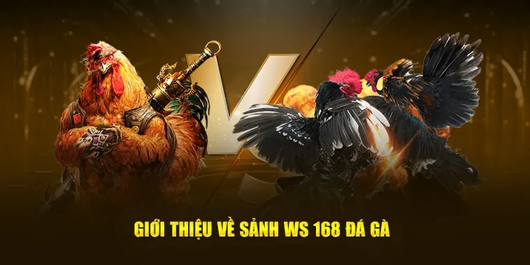 Cách Chơi Đá Gà WS168 Tại B52Club Hiểu Kèo Chuẩn Chọn Trận Hiệu Quả