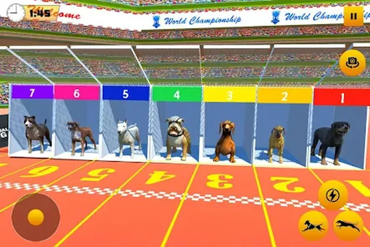 Hướng Dẫn Cách Chơi Game Nhanh Đua Chó B52Club Dễ Hiểu Thắng Lớn​