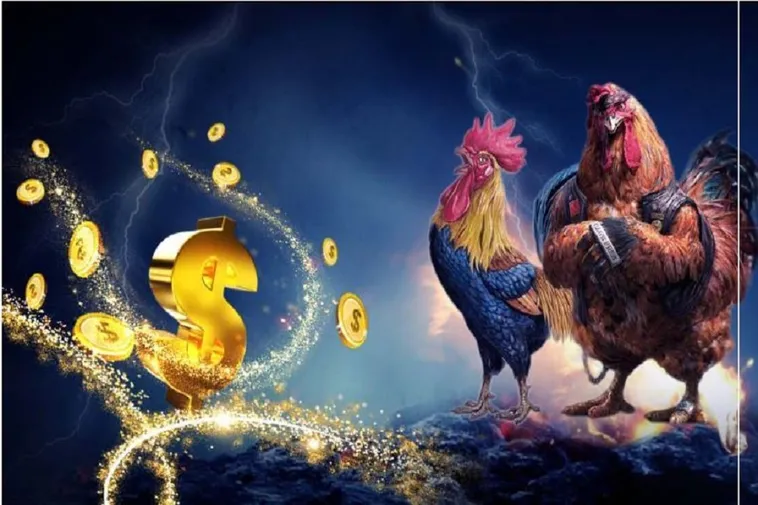 Khám Phá Đá Gà B52Club Với Luật Chơi Tỷ Lệ Cược Và Kinh Nghiệm Hay