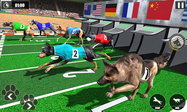 Hướng Dẫn Cách Chơi Game Nhanh Đua Chó B52Club Dễ Hiểu Thắng Lớn​
